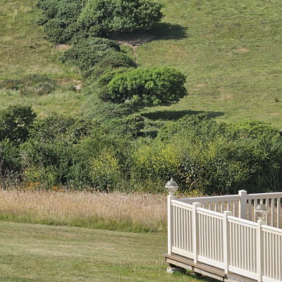 Tamarisk, large wraparound decking, with ornate lights and gated