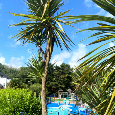 Heated outdoor swimming pool