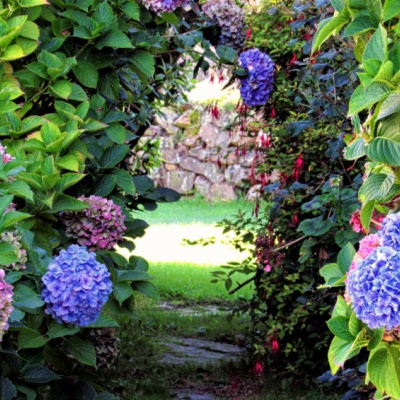 The flower path