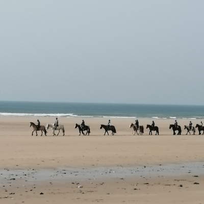 A ride on the beach