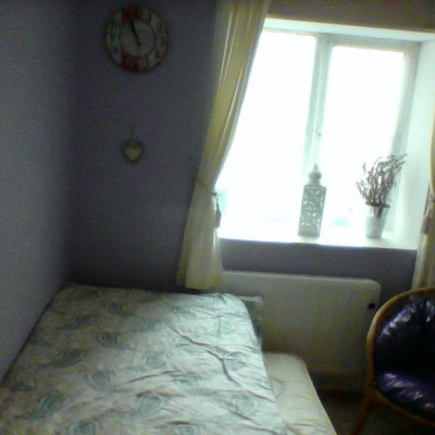 Single bed folds out double
