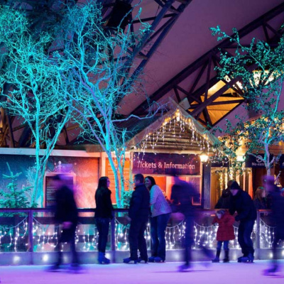 Ice skating just 15mins drive Eden project