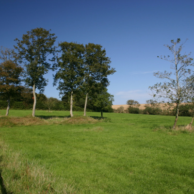 Gated Field