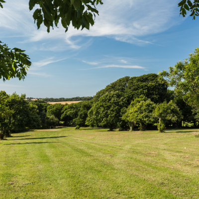 grounds
