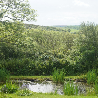 The pond at the bottom of the garden