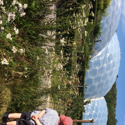 Close to the Eden Project