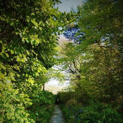 Down the garden path