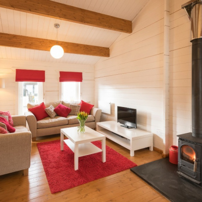 Cosy log burner