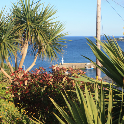 Mevagissey Lighthouse from the garden