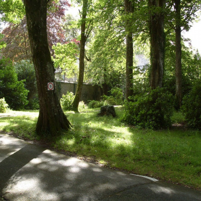 Site