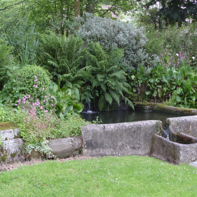 Duck pond