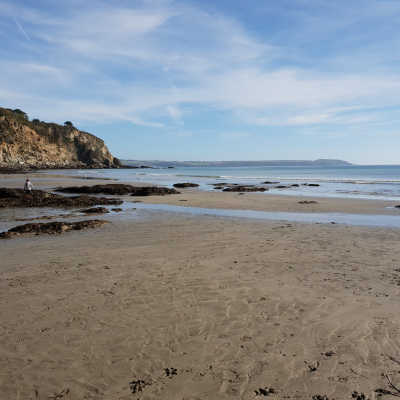 Par Beach (looking to Fowey) 