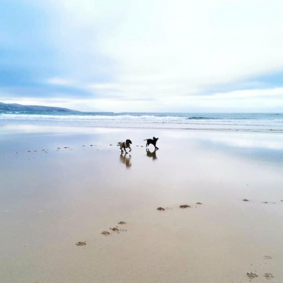 What a beach....so much room