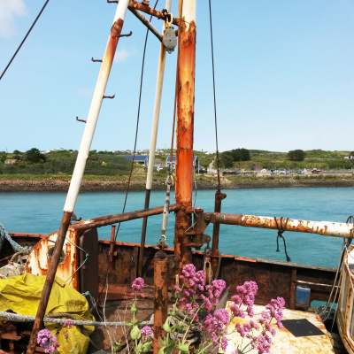 Harbour view