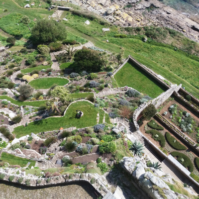 The sub-tropical gardens of St Micheael's Mount