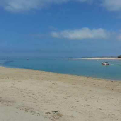 Hayle Estuary
