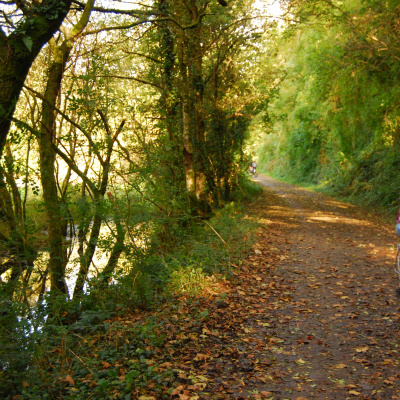 Direct access to the Camel Trail