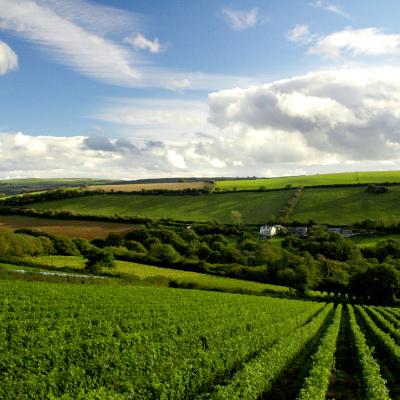 Located opposite the Camel Valley Vineyards on the Camel Trail