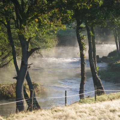 Peace and tranquility in nature