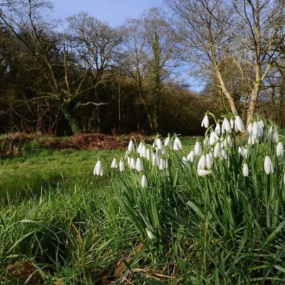 Natural beauty on your doorstep at Butterwell Farm