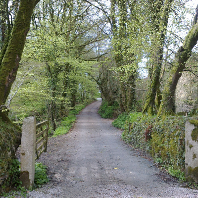 Lane to main yard at Fenteroon