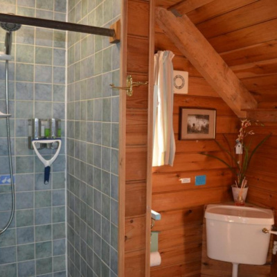 The bathroom and shower