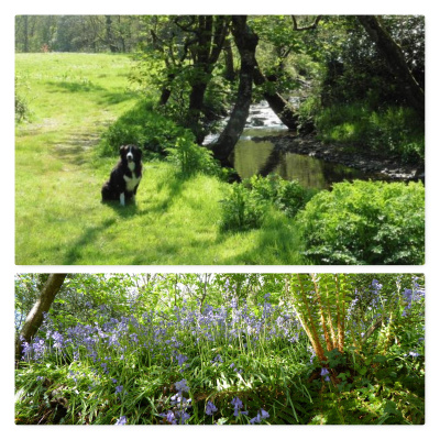 The fields and river at Mineshop