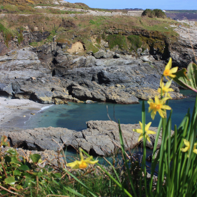 Walk from the apartment to Prussia Cove