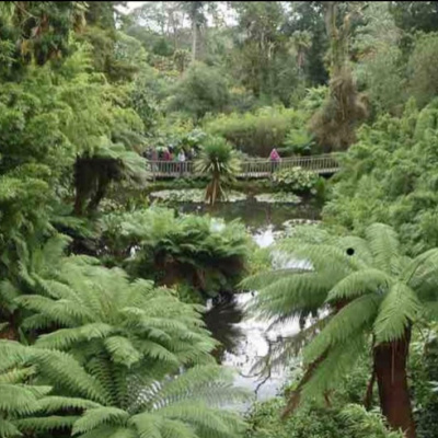 The Lost Gardens of Heligan - approx 1 mile 