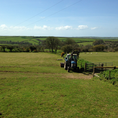 Working on the farm