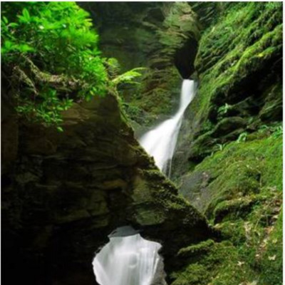 St Nectans Glen - 15 mins away