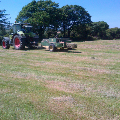 Haymaking