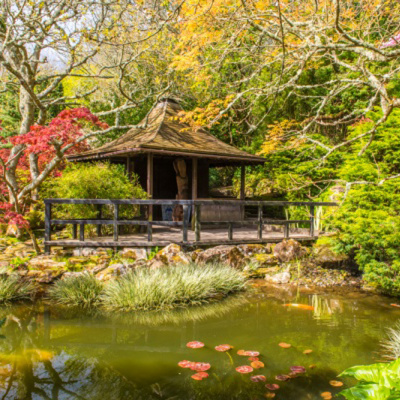 Japanese Garden attraction