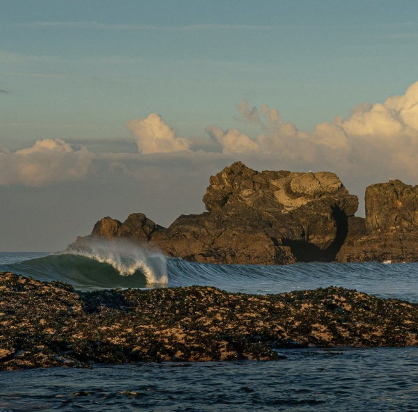 Surfer Image Big Wave