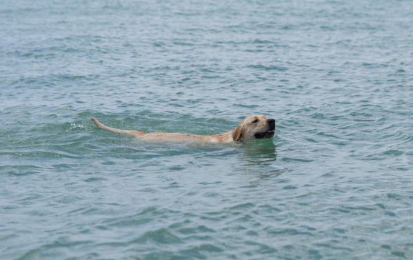 C:\fakepath\patrick DthKDzuJwI0 unsplash