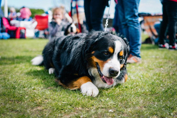 C:\fakepath\melissa keizer IAyUhCgOP M unsplash min