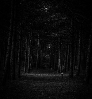 C:\fakepath\sven brandsma ZvO9hqVE62s unsplash