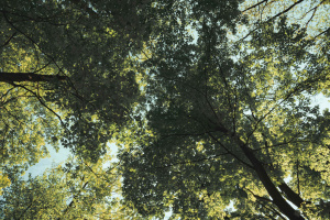 C:\fakepath\juan rojas 9lnGBUXlc1c unsplash min