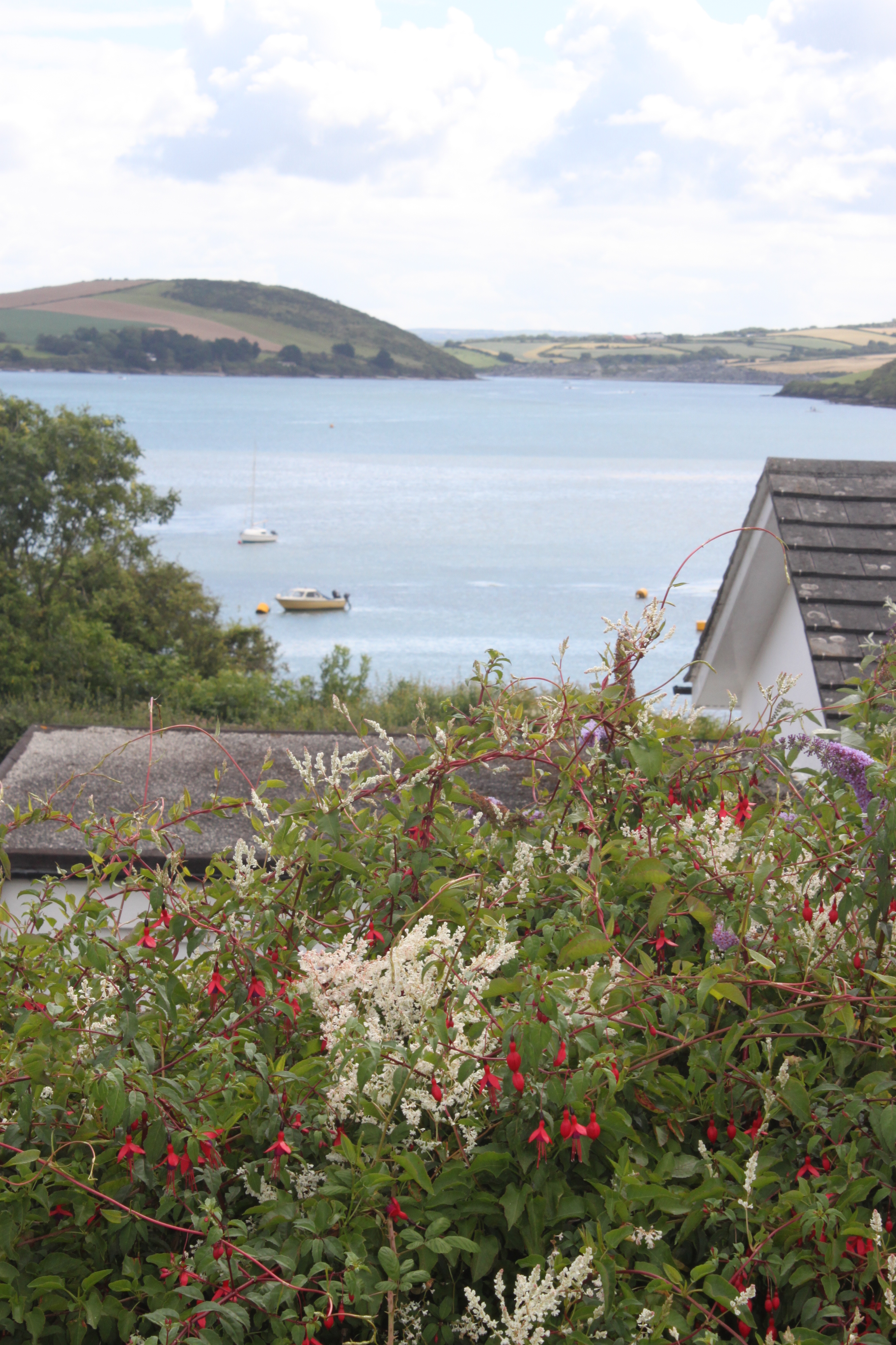 Waterside, sea views in Padstow, Cornwall Holiday House in Padstow